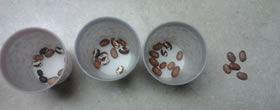 3 cups of 10 beans and 5 extra beans